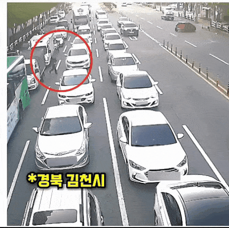 과실이 잡힌 운전자